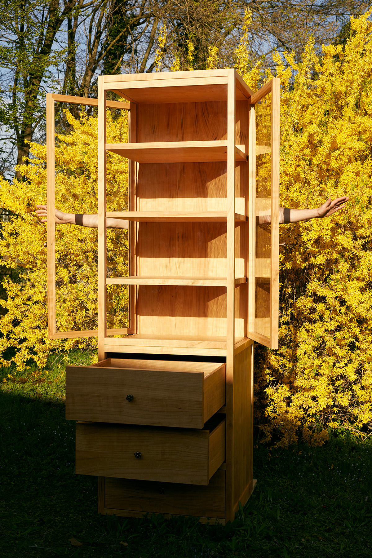 Display Case by Ruben Boesch